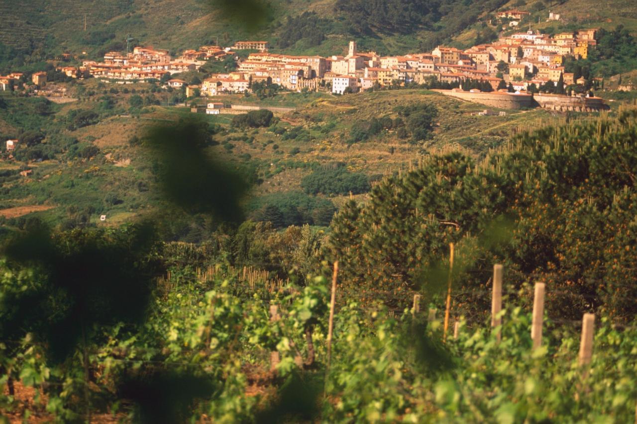 La Chiusa Di Rio Aparthotel Rio dellʼElba Bagian luar foto